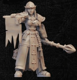 Battle Sister-Onmioji-Cleric,Female,Fighter,Human,Paladin,Sisters Of War,Valkyrie