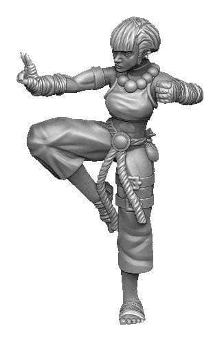 Combat Stance Monk-Onmioji-Fighter,Human,Monk