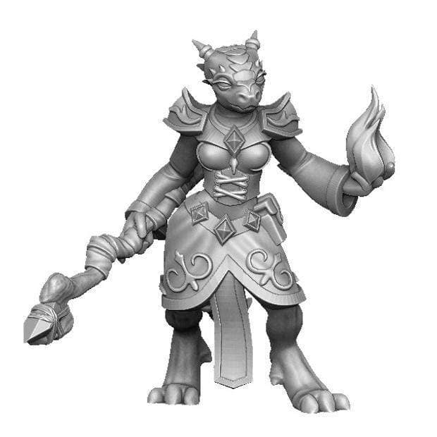 Dragonborn Mage-Onmioji-Dragonborn,Sorcerer,Warlock,Wizard