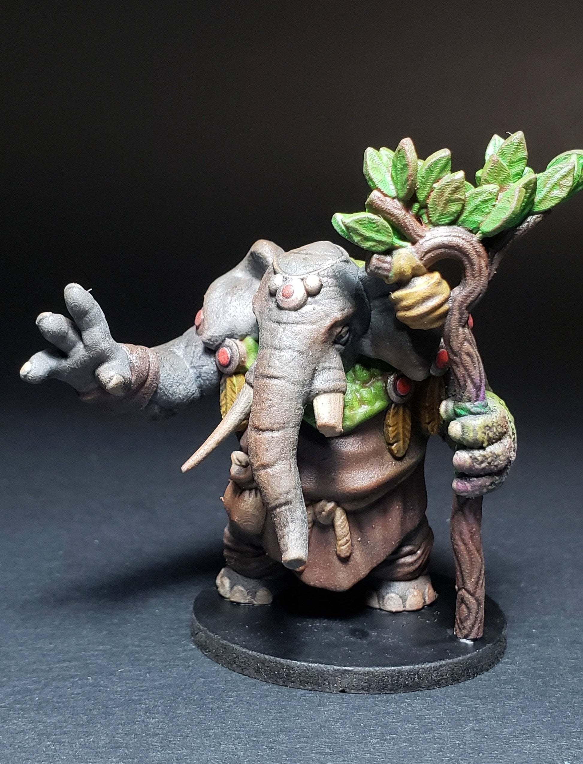 Onmioji Loxodon Druid